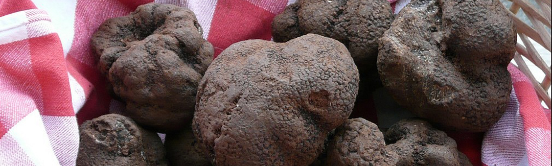 The Périgord cooking-truffles-Dordogne